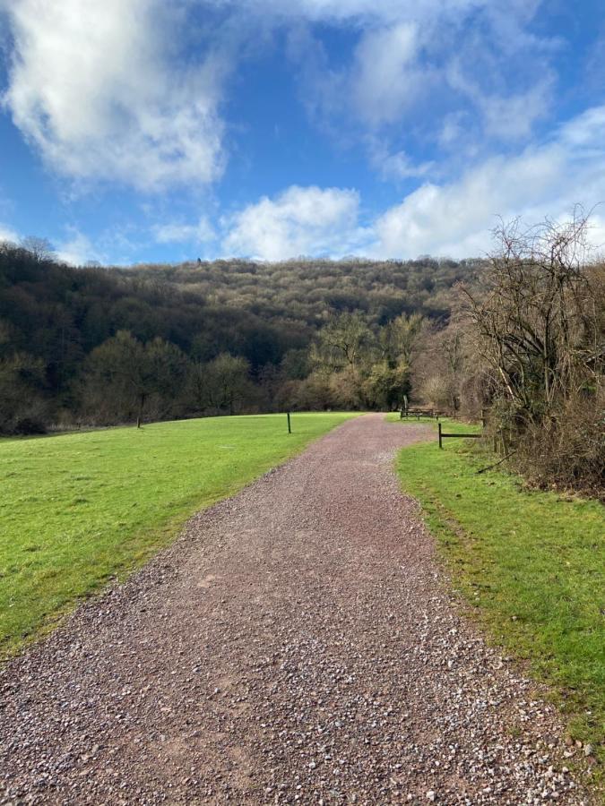 Stunning Symonds Yat Holiday Cottage المظهر الخارجي الصورة