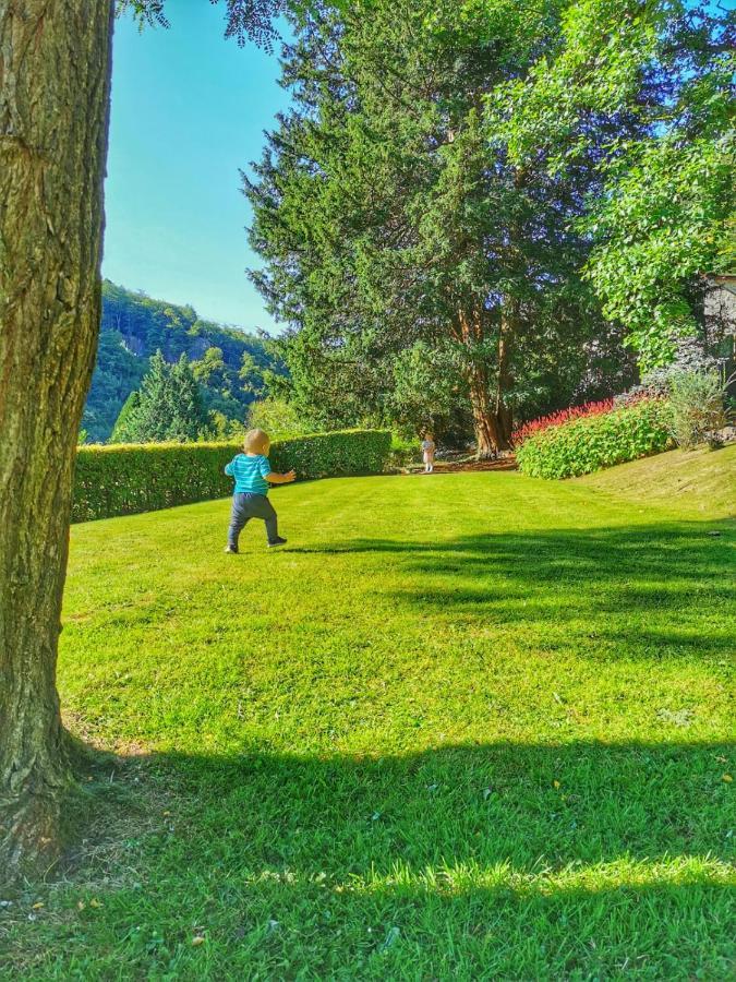 Stunning Symonds Yat Holiday Cottage المظهر الخارجي الصورة