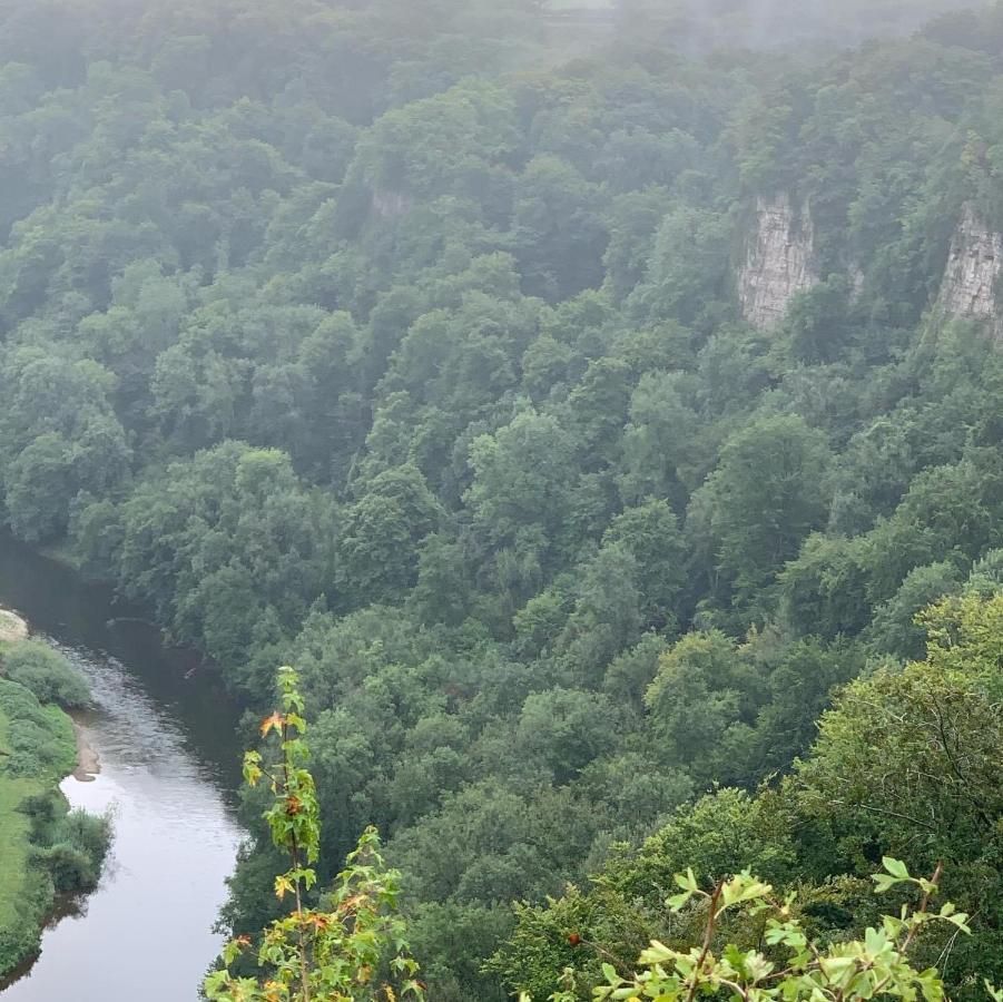 Stunning Symonds Yat Holiday Cottage المظهر الخارجي الصورة