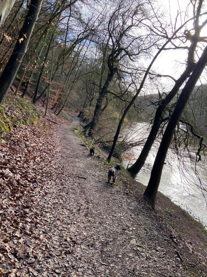 Stunning Symonds Yat Holiday Cottage المظهر الخارجي الصورة